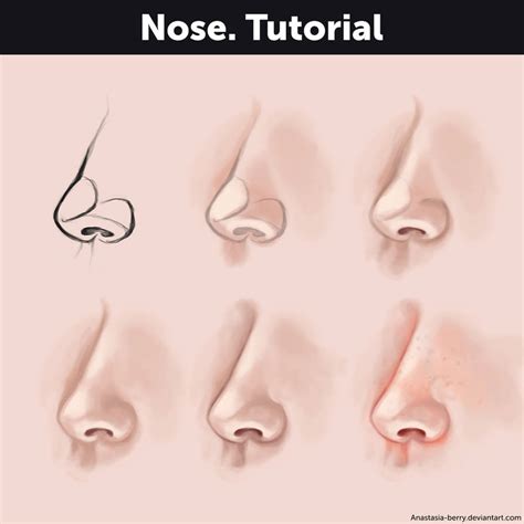 Image result for Nose Tutorial