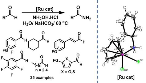 Profile | Dr. Sanjay Kumar Singh