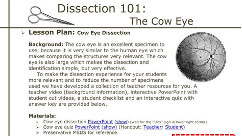 Sheep Eye Dissection Worksheet Sheep Eye Dissection
