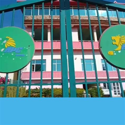 मार्च में फिर से गुलजार होगा धर्मशाला का खूबसूरत अंतर्राष्ट्रीय क्रिकेट ...