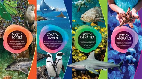 Up to 35% Off | Aquaria Phuket Tickets - Klook India