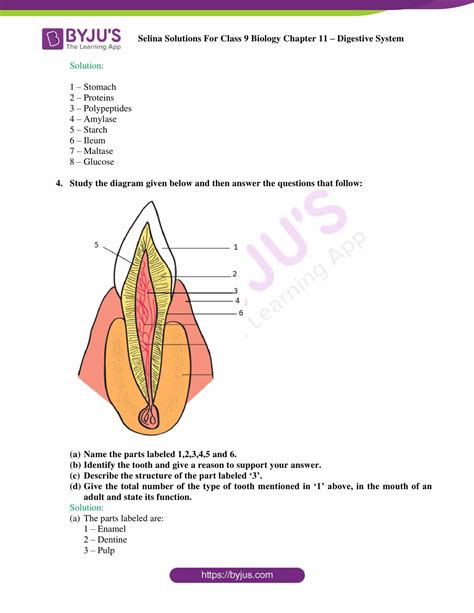 Image result for Class 9 Biology Chapter 2