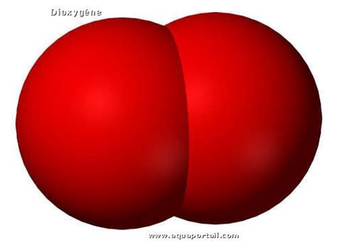 O2 Molécule 的图像结果