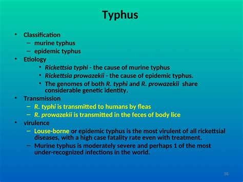 Causes Of Typhus