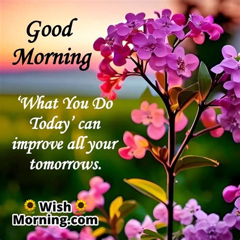 Beautiful Good Morning Quotes for a Positive Start - Wish Morning