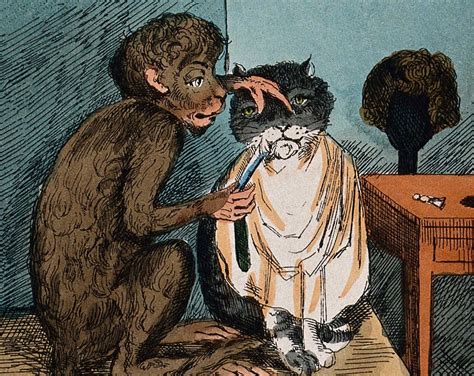 Monkey Shaving a Cat With a Straight Razor, Reproduction Print of a ...