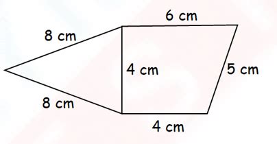Level 2 IMO Question Paper for Class 3 - Set 7 | Olympiad tester