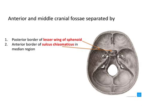 anterior cranial fossa.pptx