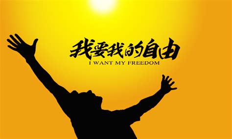 ‘我要我的自由’字体设计-一品威客网字体设计任务