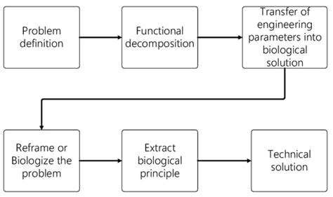 Design of a Bioinspired Underwater Glider for Oceanographic Research