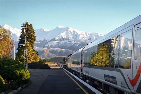 Image result for Springfield NZ