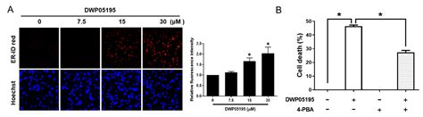 TRPV1 Antagonist DWP05195 Induces ER Stress-Dependent Apoptosis through ...
