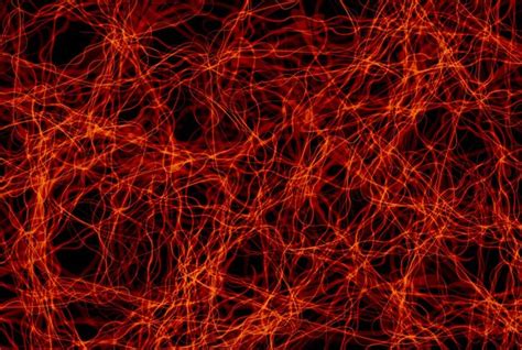 Computer Network Digital Wallpaper 的图像结果