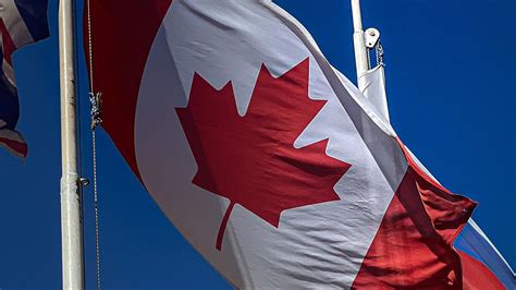 Canada curbs its temporary foreign worker program – what is the fall ...