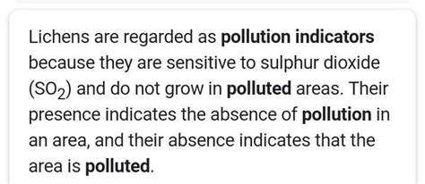 Why lichens are known as pollution indicators - Brainly.in