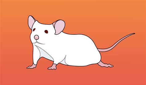 Image result for Mouse Genetics