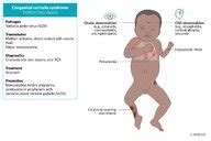 Image result for Natural Selection Algorithm