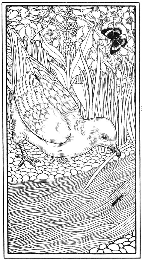 The Ant and the Dove - The Witches' Almanac