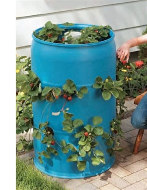 Strawberry Planters