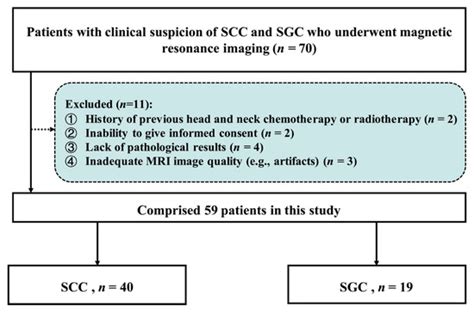 Differential Diagnosis of Oral Salivary Gland Carcinoma and Squamous ...