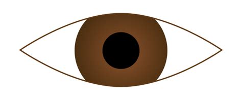 Sight ClipArt 的图像结果