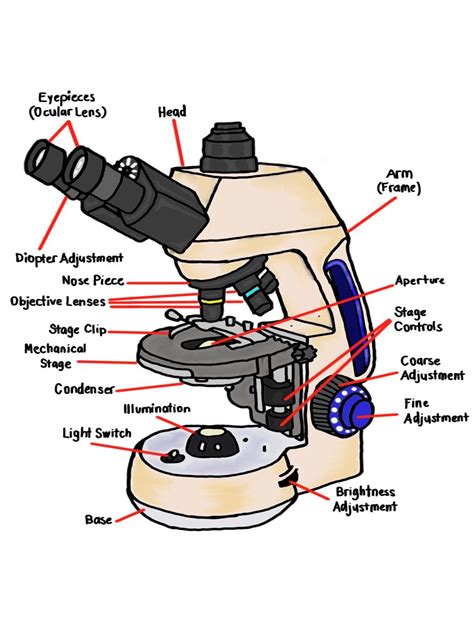 Microscope Part 的图像结果