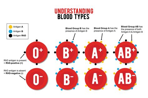 Blood Type Chart With Antigens at Whitney Luke blog
