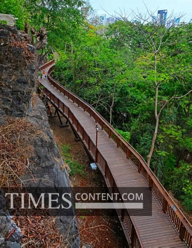 Elevated Nature trail Feature Photo Malabar Hill walkwa...