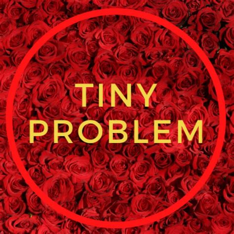 Tiny Problem 的图像结果