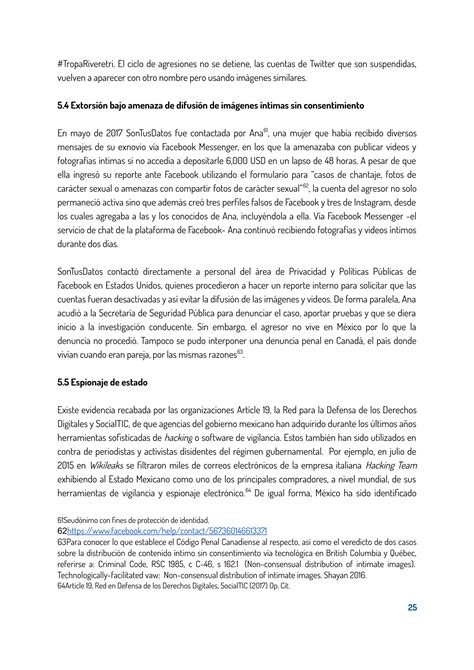 LA VIOLENCIA EN LÍNEA CONTRA LAS MUJERES EN MÉXICO | PDF