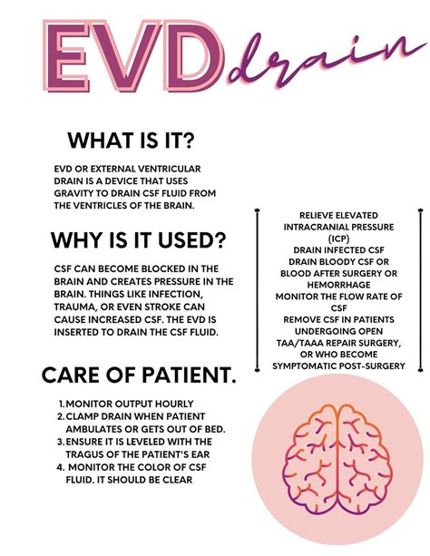 EVD Drain Nurse Cheat Sheet: Care & Monitoring (PDF Download) - Etsy
