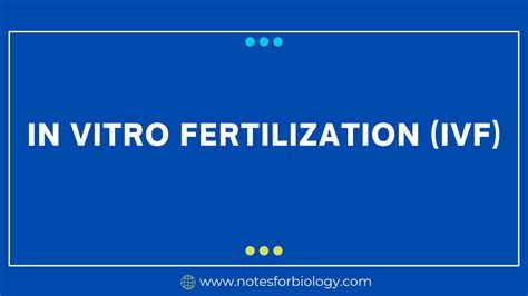 Image result for Vitro Fertilization IVF Process