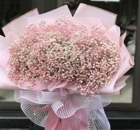 Asuncion Emma Kahlo Cardeña (1896-1896) - Find a Grave-gedenkplek