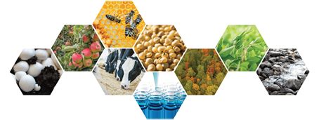 Agricultural Science Projects 的图像结果