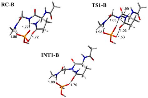 Nonenzymatic Deamidation Mechanism on a Glutamine Residue with a C ...