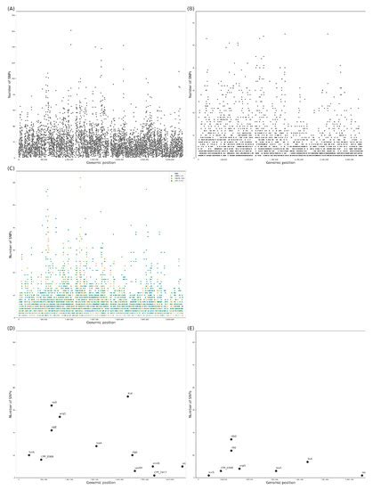 Biofilm and Spore Formation of Clostridium perfringens and Its ...