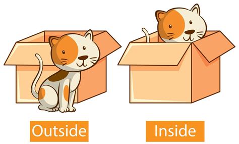 Outside 的图像结果