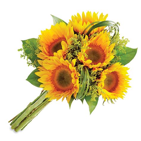 Sunny Sunflower Bouquet-Vons Pavilions