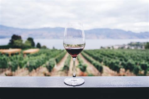 Особенности посещения виноделен в Краснодарском крае