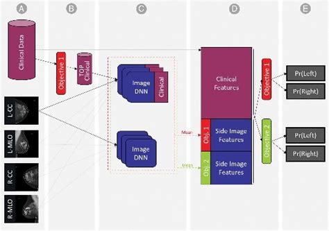 Predicting Multiple Cancer Using Advanced Machine Learning Technique