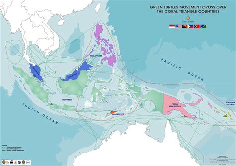 Green Sea Turtles: Characteristics, Behavior, Reproduction | Sea Life, Islands and Oceania ...