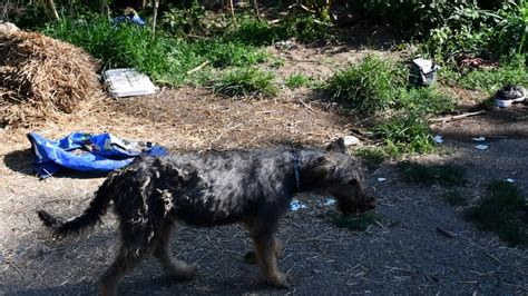 Knowing the signs and symptoms of Atrial Fibrillation during A-Fib ...