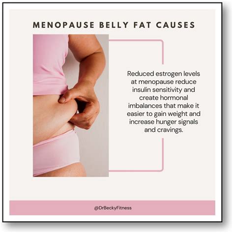 Menopause Belly Fat is Real but Not Your Reality with These 3 Things - Dr Becky Fitness