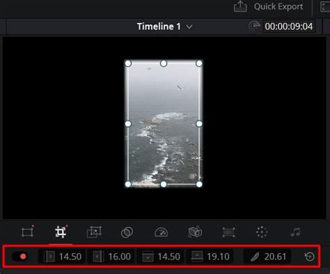 DaVinci Resolve Cropping 的图像结果