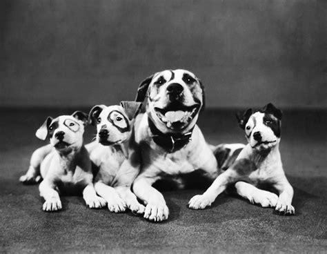 Pete Little Rascals Dog - Cats and dogs have been around for many ...