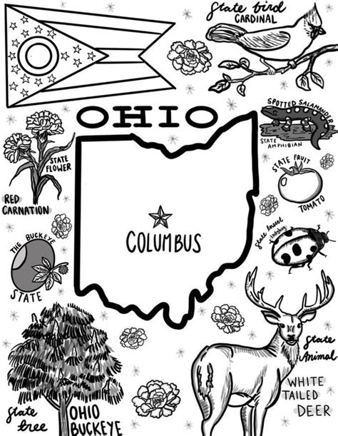 Buckeye Coloring Pages