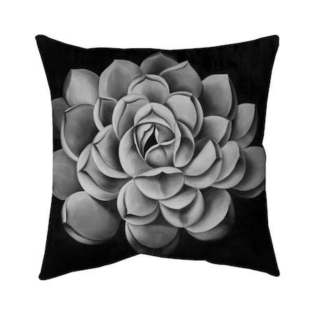 Begin Home Decor 20 x 20 in. Black & White Succulent-Double Sided Print ...