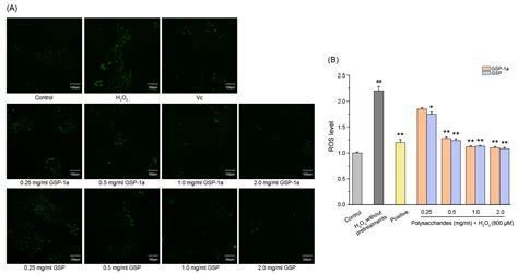 A Neutral Polysaccharide from Spores of Ophiocordyceps gracilis ...