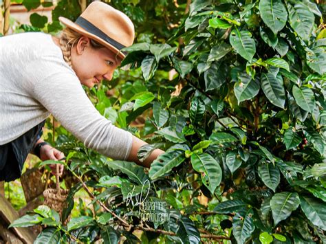 ECO HORQUETA TOUR DE CAFÉ ANCESTRAL (2026) All You Need to Know BEFORE ...