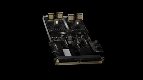 Doca SDK 的图像结果